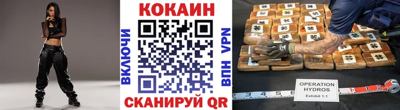 COCAIN Fish Scale  Купить закладки  Павловск 
