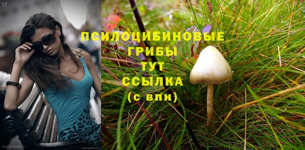 ECSTASY Балахна